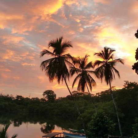 Panama Eco Resort Tierra Oscura エクステリア 写真