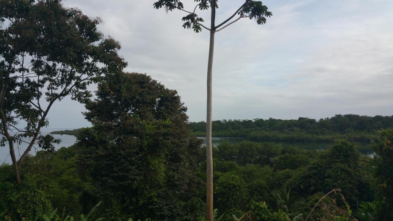 Panama Eco Resort Tierra Oscura エクステリア 写真