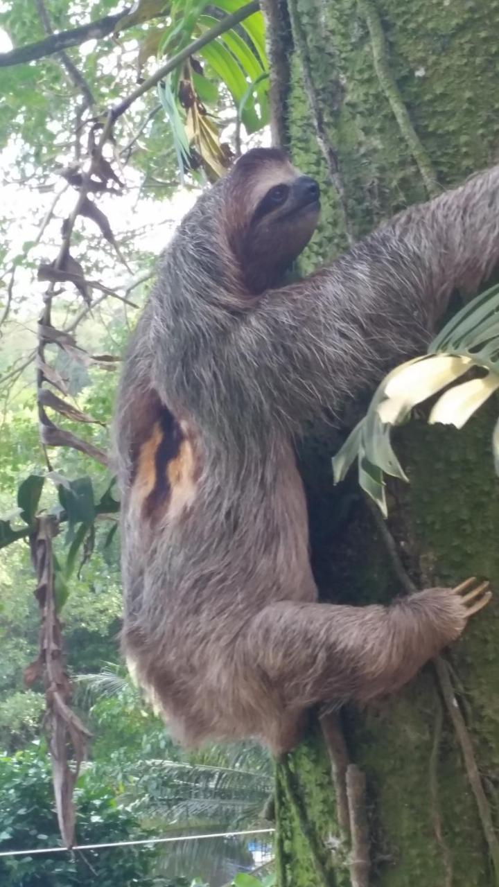 Panama Eco Resort Tierra Oscura エクステリア 写真