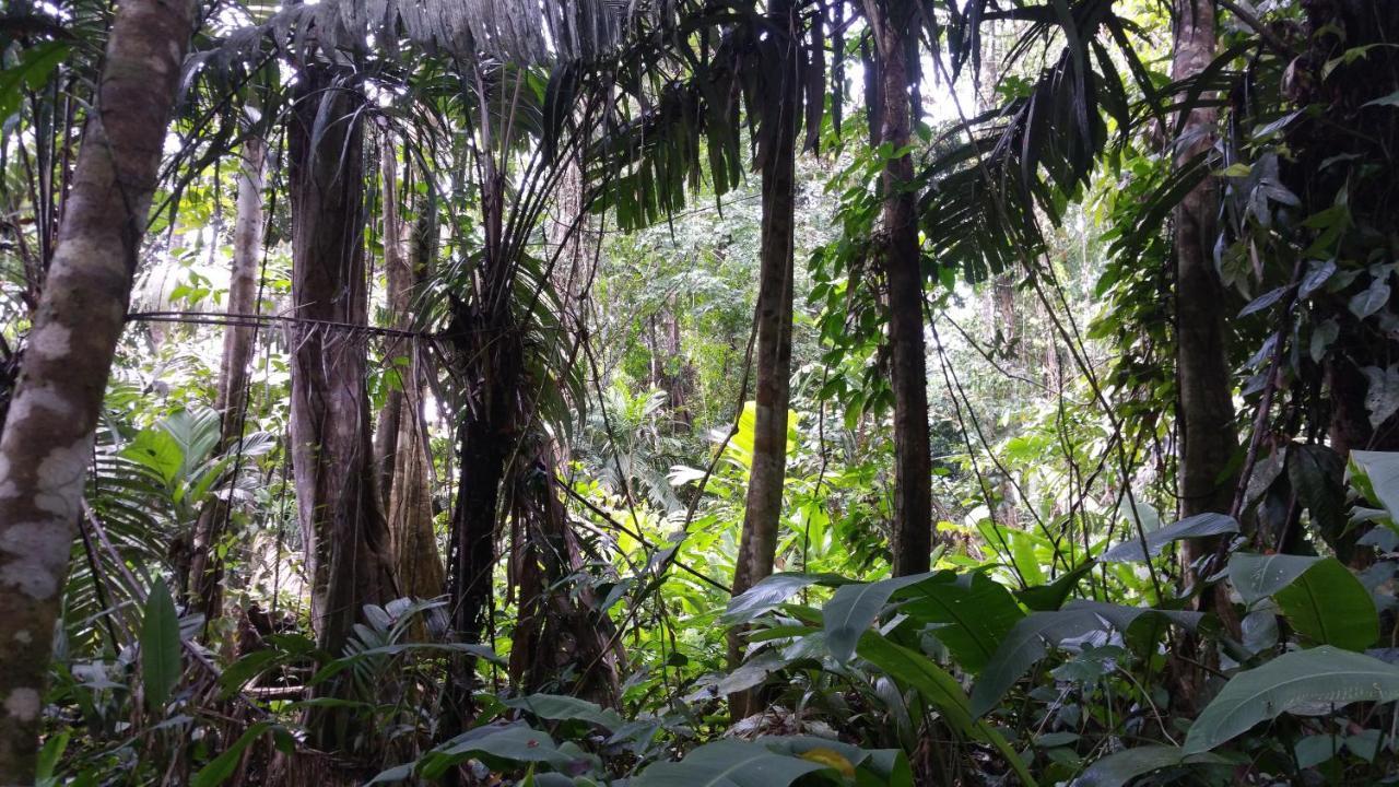 Panama Eco Resort Tierra Oscura エクステリア 写真